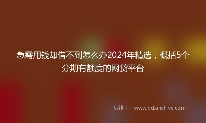 急需用钱却借不到怎么办2024年精选，概括5个分期有额度的网贷平台