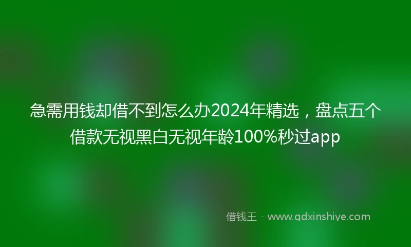 急需用钱却借不到怎么办2024年精选，盘点五个借款无视黑白无视年龄100%秒过app