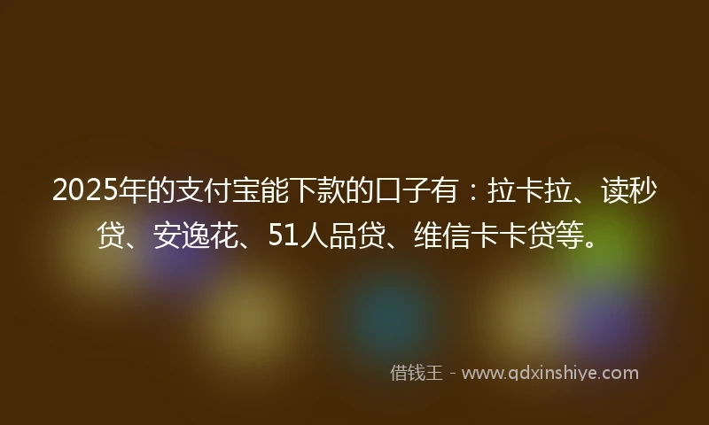 2025年的支付宝能下款的口子有：拉卡拉、读秒贷、安逸花、51人品贷、维信卡卡贷等。