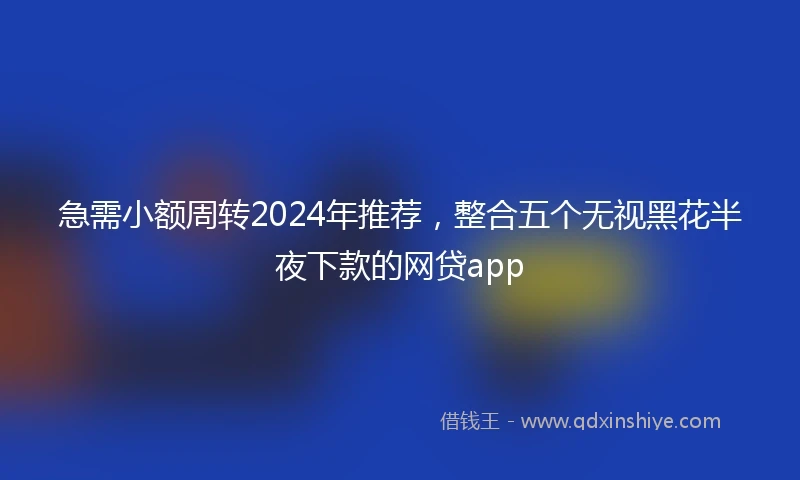 急需小额周转2024年推荐，整合五个无视黑花半夜下款的网贷app