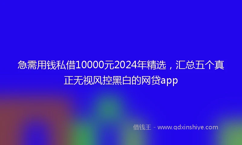 急需用钱私借10000元2024年精选，汇总五个真正无视风控黑白的网贷app