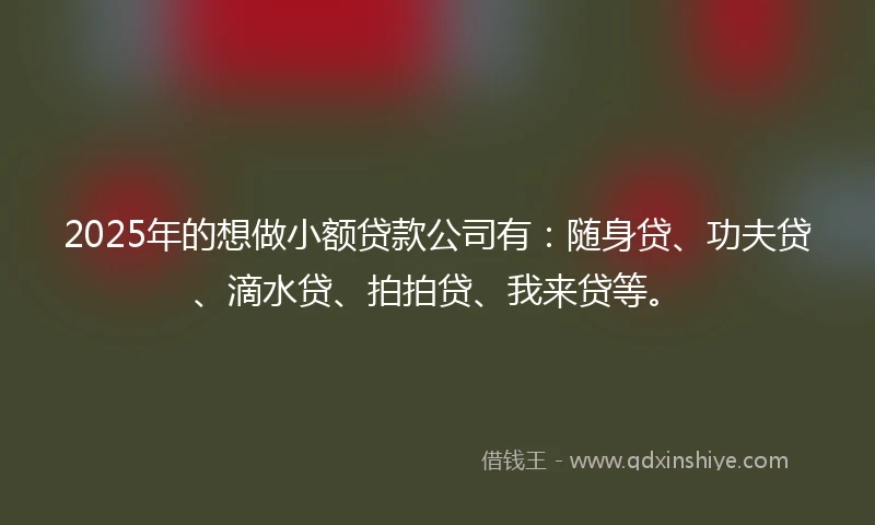 2025年的想做小额贷款公司有：随身贷、功夫贷、滴水贷、拍拍贷、我来贷等。