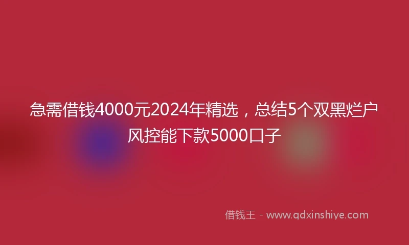急需借钱4000元2024年精选，总结5个双黑烂户风控能下款5000口子