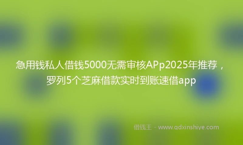 急用钱私人借钱5000无需审核APp2025年推荐，罗列5个芝麻借款实时到账速借app