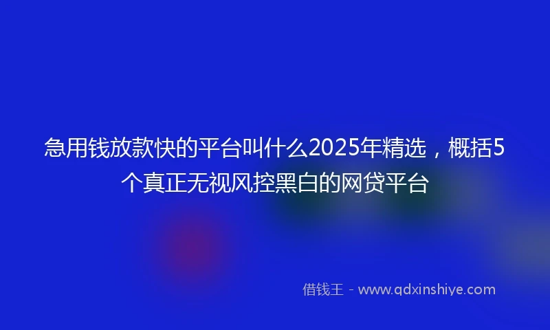 急用钱放款快的平台叫什么2025年精选，概括5个真正无视风控黑白的网贷平台