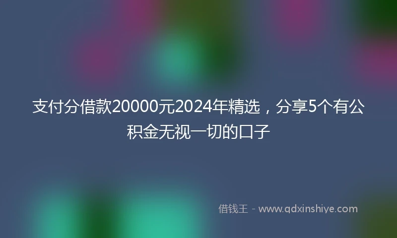 支付分借款20000元2024年精选，分享5个有公积金无视一切的口子