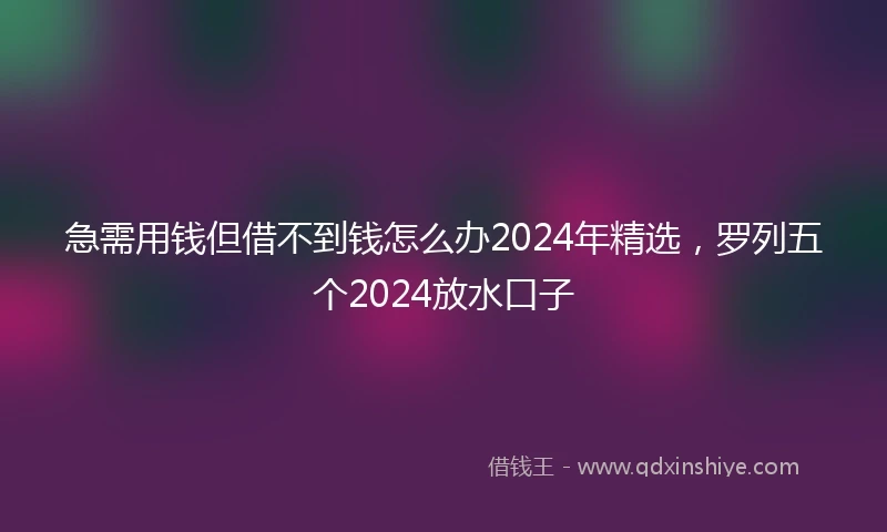急需用钱但借不到钱怎么办2024年精选，罗列五个2024放水口子