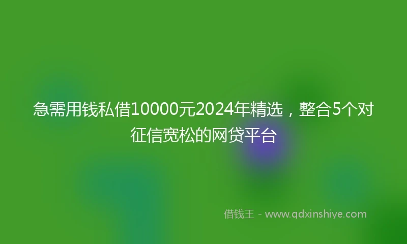 急需用钱私借10000元2024年精选，整合5个对征信宽松的网贷平台