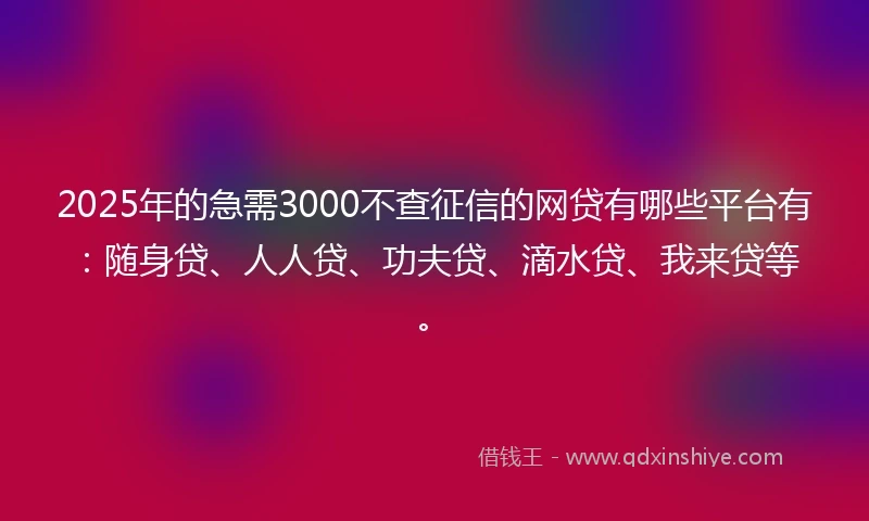 2025年的急需3000不查征信的网贷有哪些平台有：随身贷、人人贷、功夫贷、滴水贷、我来贷等。
