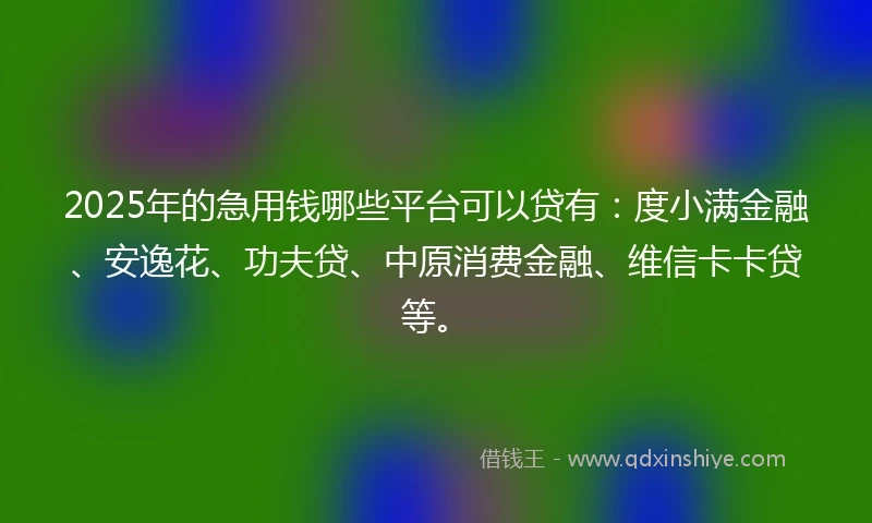 2025年的急用钱哪些平台可以贷有：度小满金融、安逸花、功夫贷、中原消费金融、维信卡卡贷等。