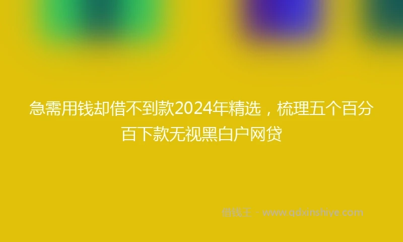 急需用钱却借不到款2024年精选，梳理五个百分百下款无视黑白户网贷