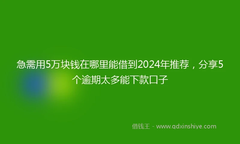 急需用5万块钱在哪里能借到2024年推荐，分享5个逾期太多能下款口子