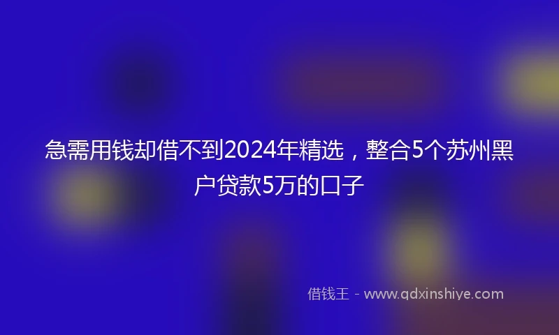 急需用钱却借不到2024年精选，整合5个苏州黑户贷款5万的口子