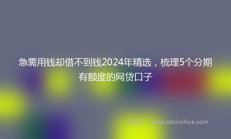 急需用钱却借不到钱2024年精选，梳理5个分期有额度的网贷口子