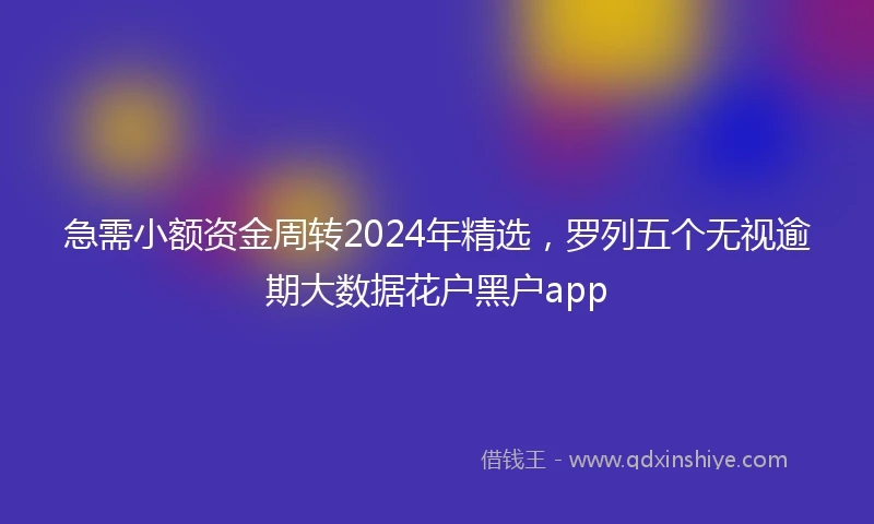 急需小额资金周转2024年精选，罗列五个无视逾期大数据花户黑户app