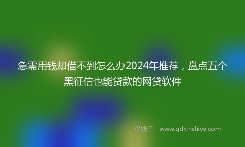 急需用钱却借不到怎么办2024年推荐，盘点五个黑征信也能贷款的网贷软件