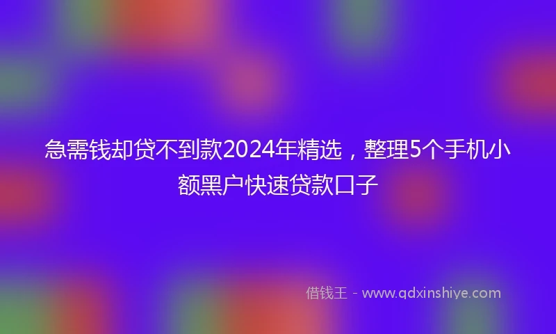 急需钱却贷不到款2024年精选，整理5个手机小额黑户快速贷款口子