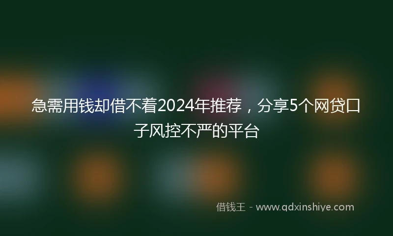 急需用钱却借不着2024年推荐，分享5个网贷口子风控不严的平台