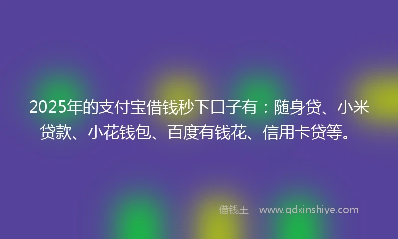 2025年的支付宝借钱秒下口子有：随身贷、小米贷款、小花钱包、百度有钱花、信用卡贷等。