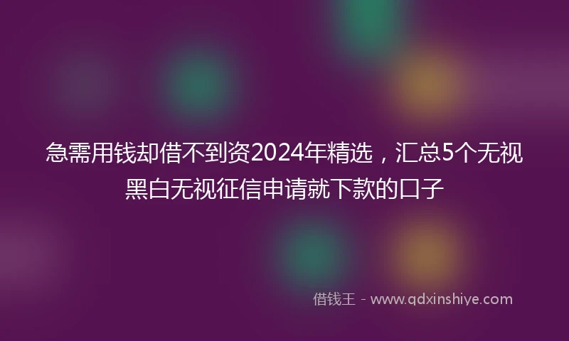 急需用钱却借不到资2024年精选，汇总5个无视黑白无视征信申请就下款的口子