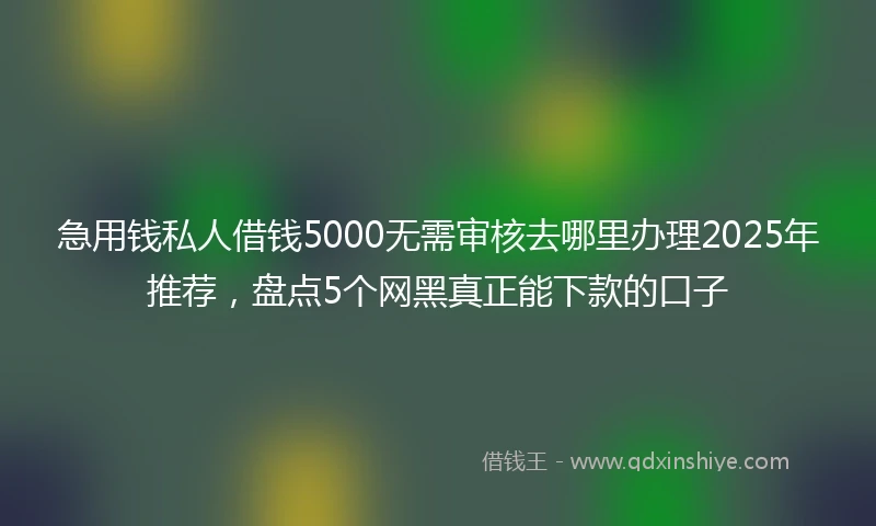 急用钱私人借钱5000无需审核去哪里办理2025年推荐，盘点5个网黑真正能下款的口子