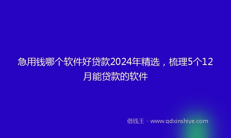 急用钱哪个软件好贷款2024年精选，梳理5个12月能贷款的软件