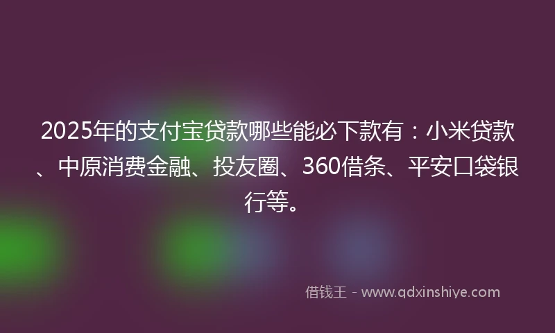 2025年的支付宝贷款哪些能必下款有：小米贷款、中原消费金融、投友圈、360借条、平安口袋银行等。