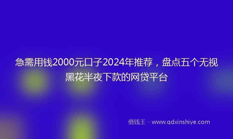 急需用钱2000元口子2024年推荐，盘点五个无视黑花半夜下款的网贷平台