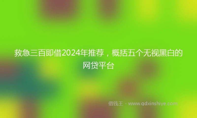 救急三百即借2024年推荐，概括五个无视黑白的网贷平台