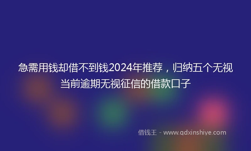 急需用钱却借不到钱2024年推荐，归纳五个无视当前逾期无视征信的借款口子