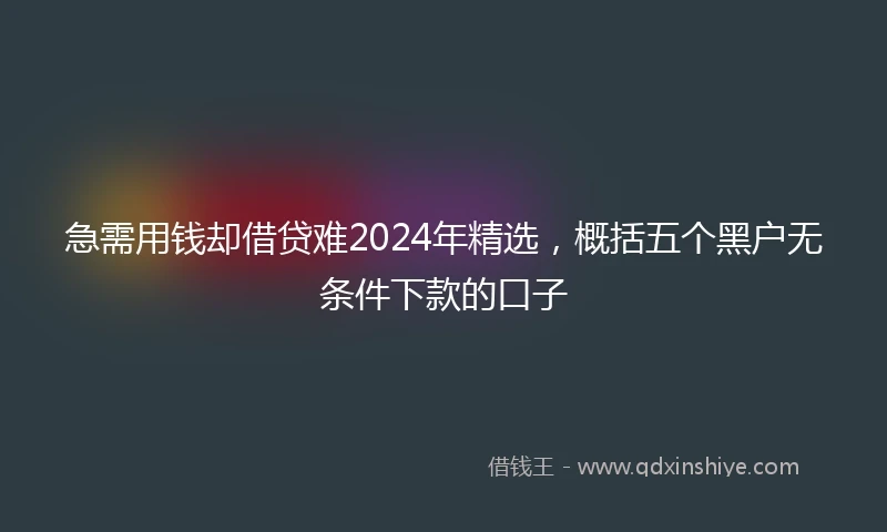 急需用钱却借贷难2024年精选，概括五个黑户无条件下款的口子