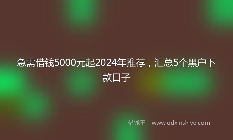 急需借钱5000元起2024年推荐，汇总5个黑户下款口子