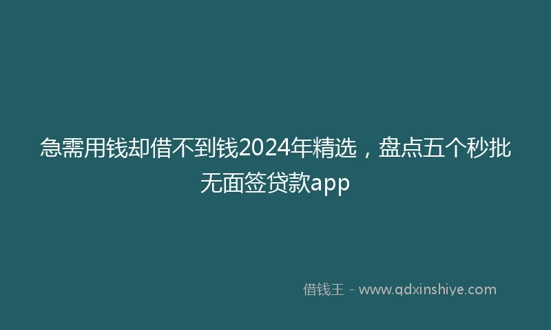 急需用钱却借不到钱2024年精选，盘点五个秒批无面签贷款app