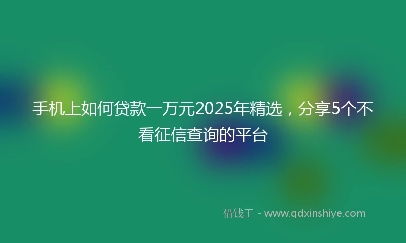 手机上如何贷款一万元2025年精选，分享5个不看征信查询的平台