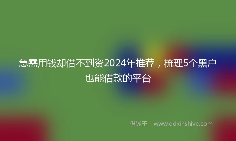 急需用钱却借不到资2024年推荐，梳理5个黑户也能借款的平台