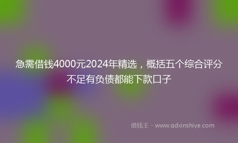 急需借钱4000元2024年精选，概括五个综合评分不足有负债都能下款口子