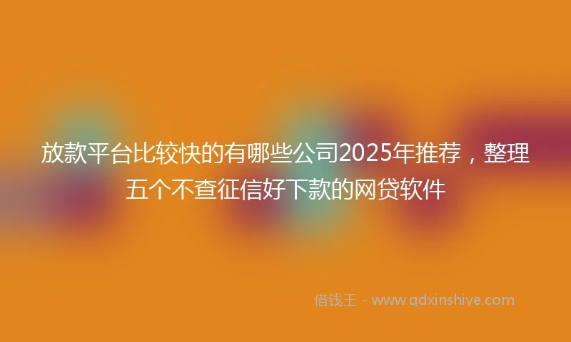 放款平台比较快的有哪些公司2025年推荐，整理五个不查征信好下款的网贷软件