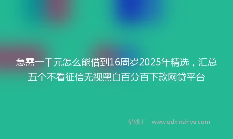 急需一千元怎么能借到16周岁2025年精选，汇总五个不看征信无视黑白百分百下款网贷平台