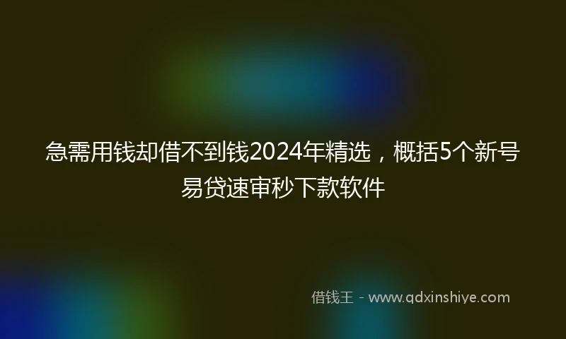 急需用钱却借不到钱2024年精选，概括5个新号易贷速审秒下款软件