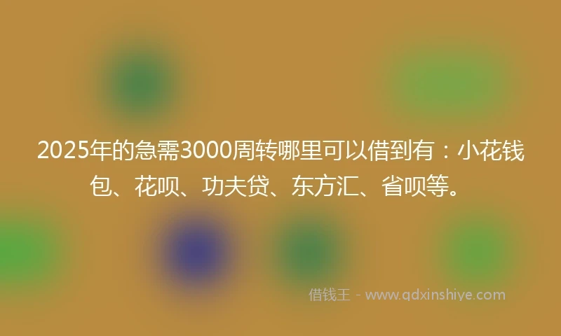 2025年的急需3000周转哪里可以借到有：小花钱包、花呗、功夫贷、东方汇、省呗等。
