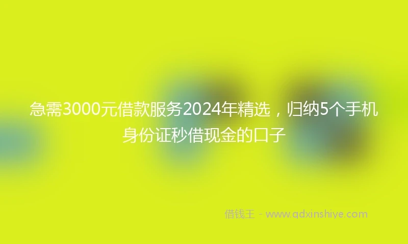 急需3000元借款服务2024年精选，归纳5个手机身份证秒借现金的口子