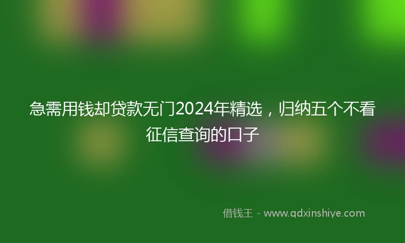 急需用钱却贷款无门2024年精选，归纳五个不看征信查询的口子