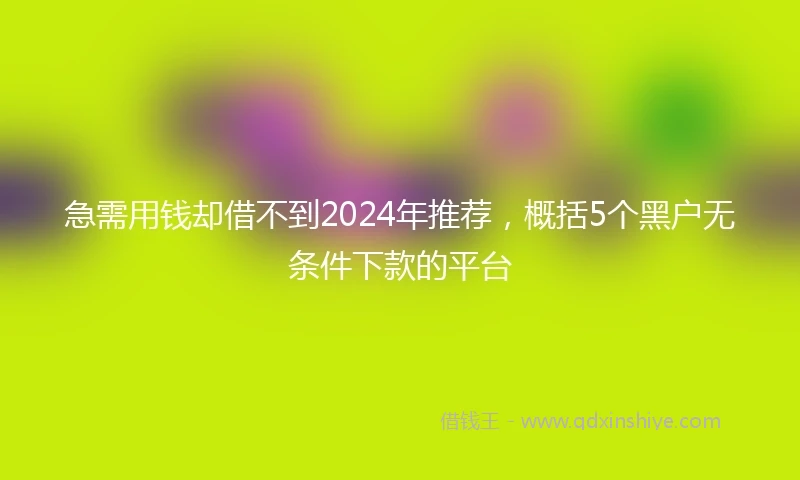 急需用钱却借不到2024年推荐，概括5个黑户无条件下款的平台