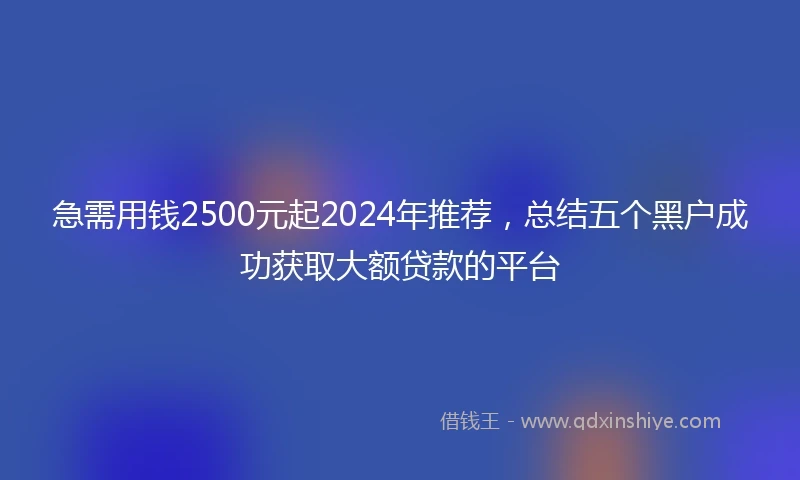 急需用钱2500元起2024年推荐，总结五个黑户成功获取大额贷款的平台