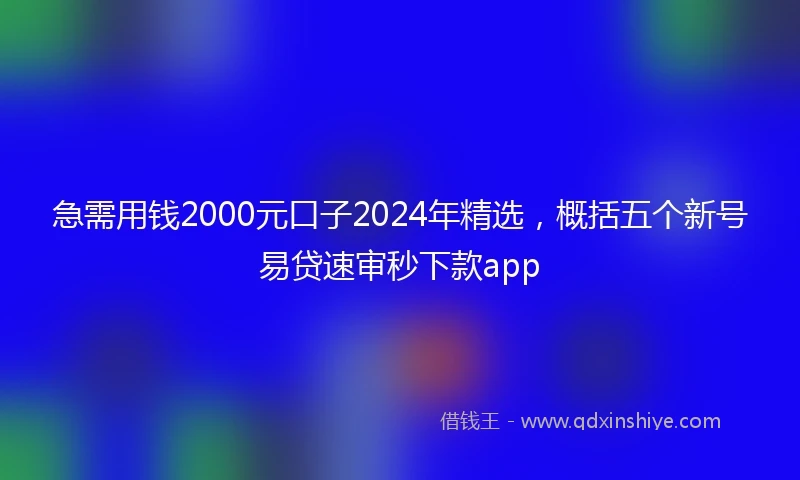 急需用钱2000元口子2024年精选，概括五个新号易贷速审秒下款app