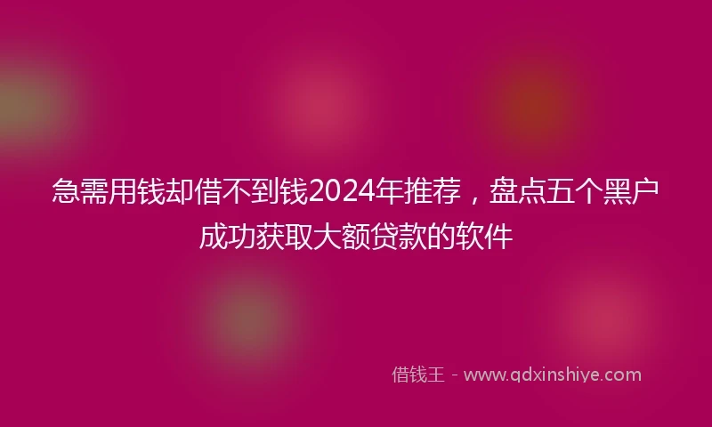 急需用钱却借不到钱2024年推荐，盘点五个黑户成功获取大额贷款的软件