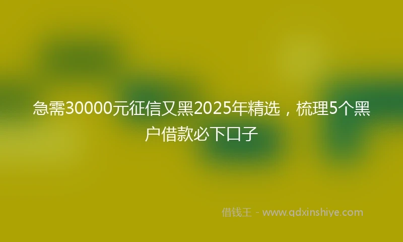 急需30000元征信又黑2025年精选，梳理5个黑户借款必下口子