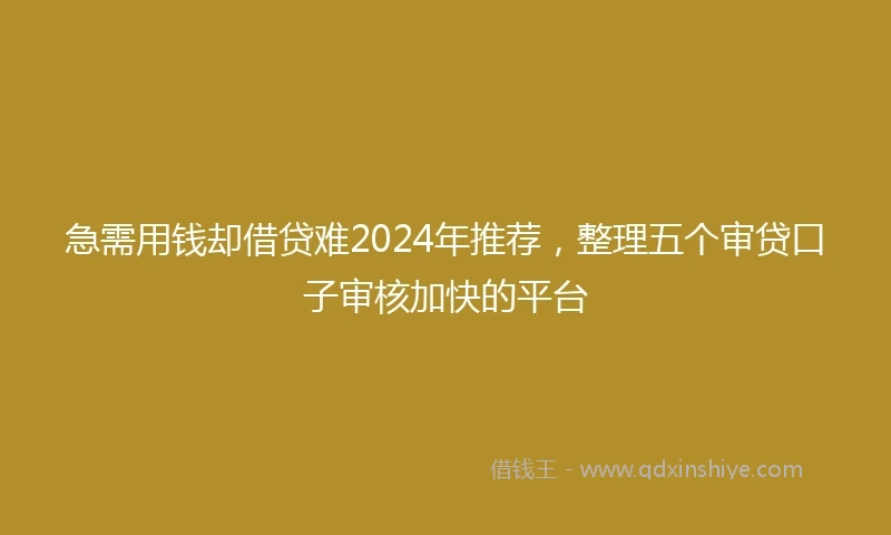 急需用钱却借贷难2024年推荐，整理五个审贷口子审核加快的平台