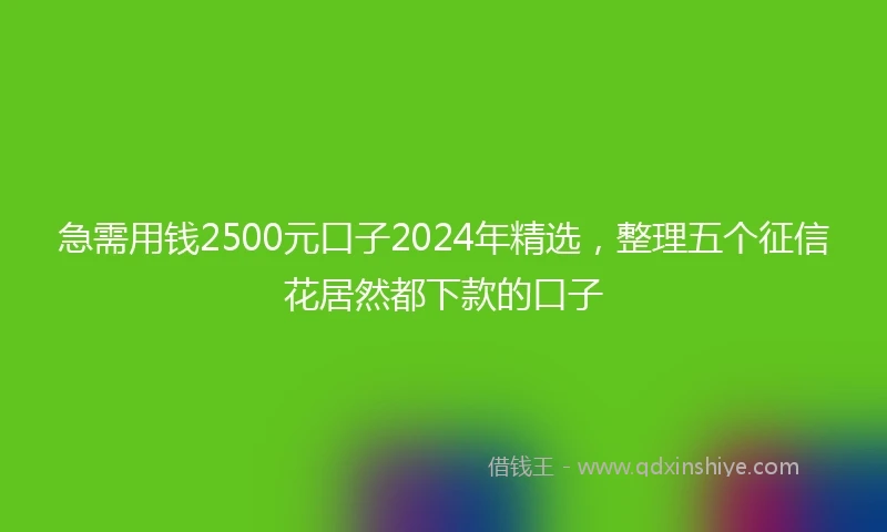 急需用钱2500元口子2024年精选，整理五个征信花居然都下款的口子