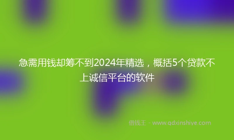 急需用钱却筹不到2024年精选，概括5个贷款不上诚信平台的软件